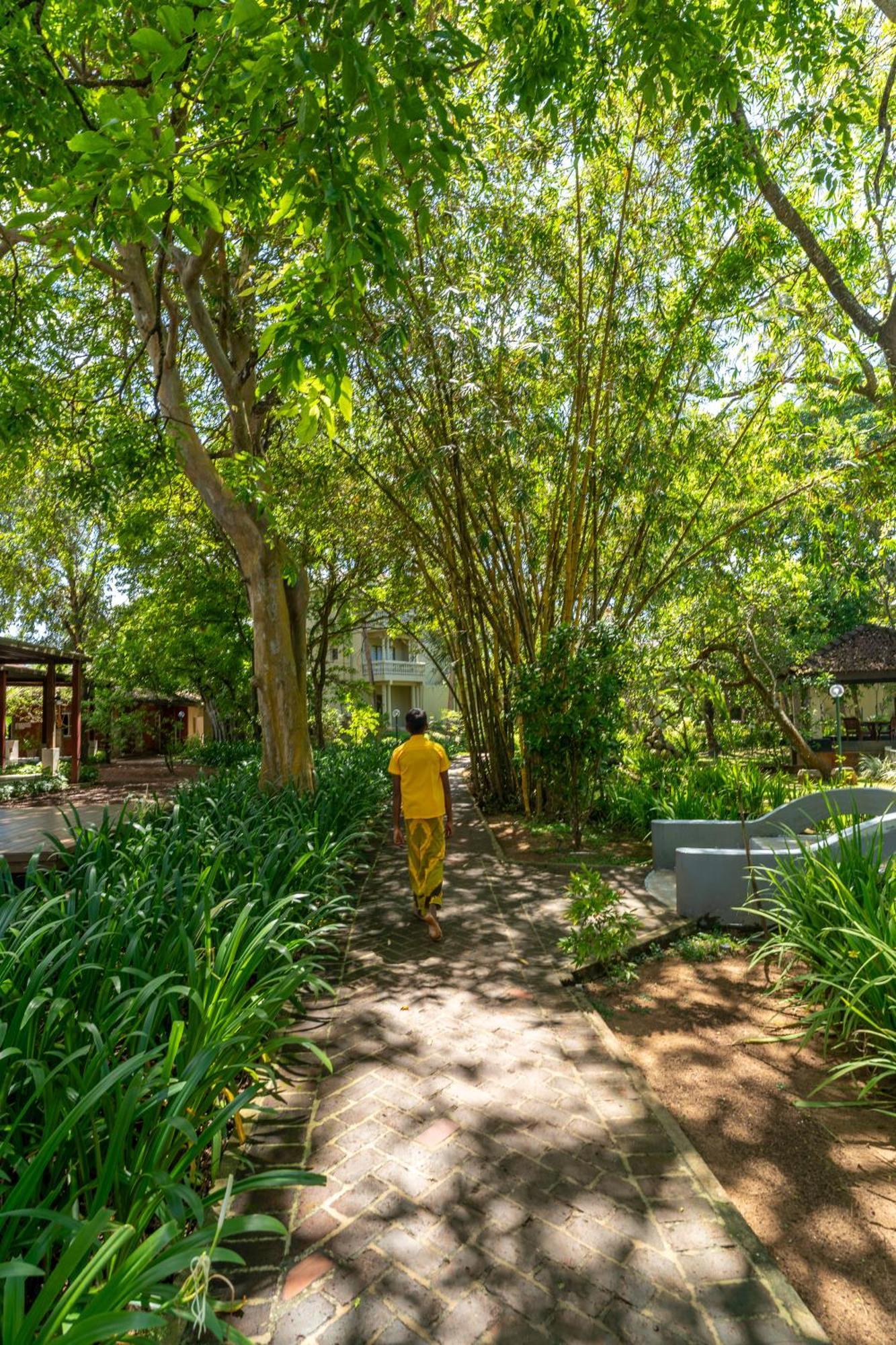 Siddhalepa Ayurveda Resort - All Meals, Ayurveda Treatment And Yoga Wadduwa Exterior photo
